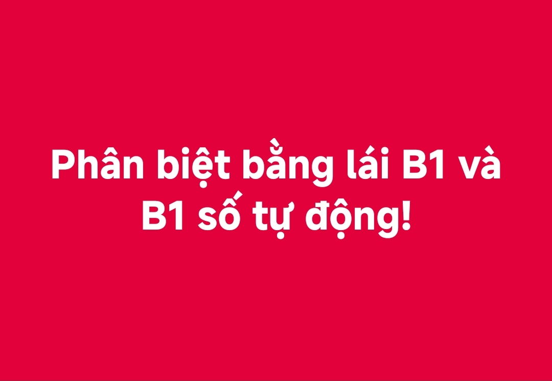 PHÂN BIỆT BẰNG LÁI B1 VÀ B1 SỐ TỰ ĐỘNG | Honda Ôtô Bắc Giang